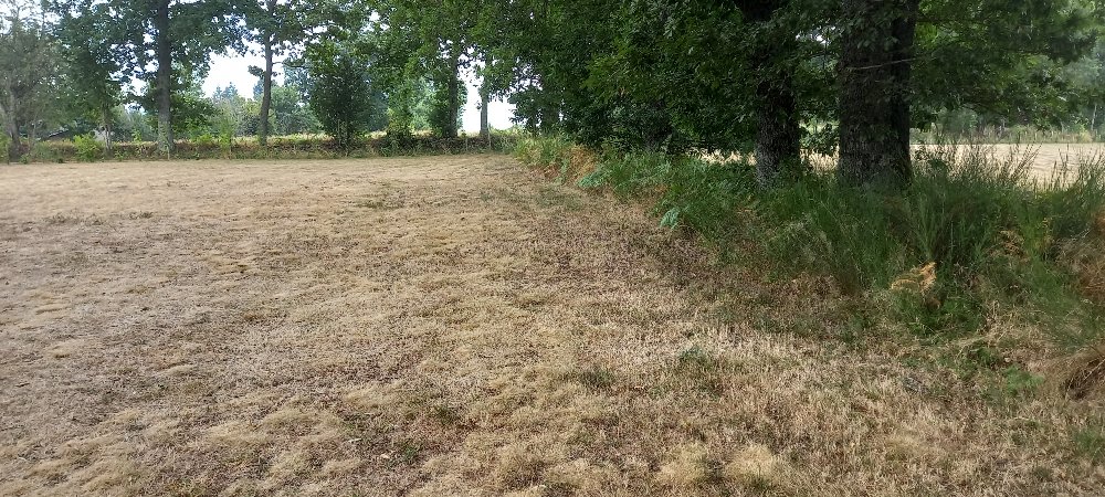 Aire camping-car  Salvetat-sur-Agout (34330) - Photo 3